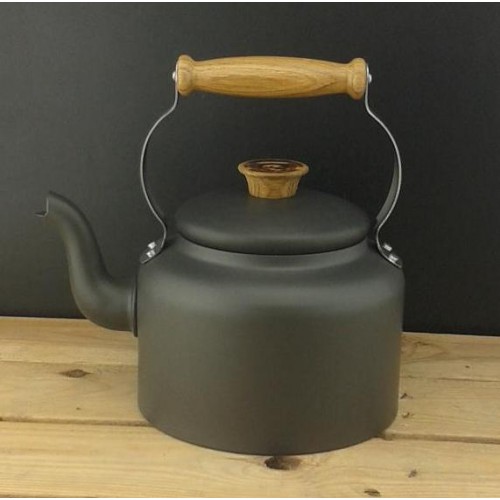 Cast iron on sale stove kettle